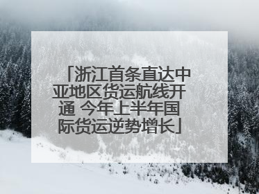 浙江首条直达中亚地区货运航线开通 今年上半年国际货运逆势增长