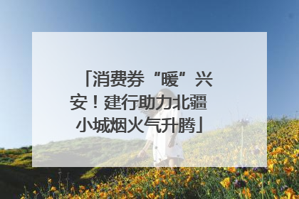 消费券“暖”兴安！建行助力北疆小城烟火气升腾