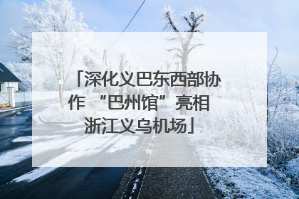 深化义巴东西部协作 “巴州馆”亮相浙江义乌机场