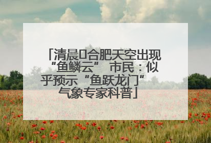 清晨﻿合肥天空出现“鱼鳞云” 市民：似乎预示“鱼跃龙门” 气象专家科普