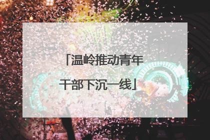 温岭推动青年干部下沉一线