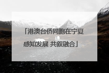 港澳台侨同胞在宁夏感知发展 共叙融合