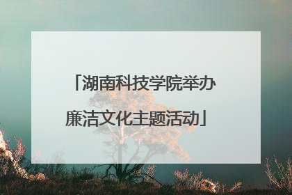 湖南科技学院举办廉洁文化主题活动