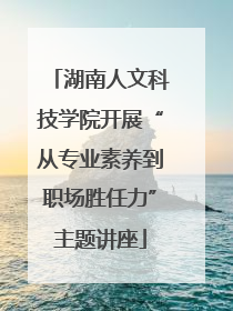 湖南人文科技学院开展“从专业素养到职场胜任力”主题讲座