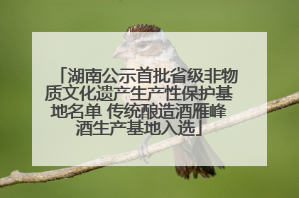 湖南公示首批省级非物质文化遗产生产性保护基地名单 传统酿造酒雁峰酒生产基地入选