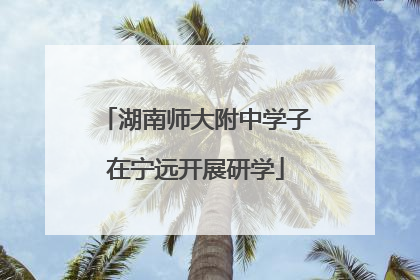 湖南师大附中学子在宁远开展研学