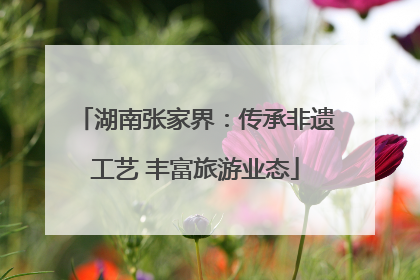 湖南张家界：传承非遗工艺 丰富旅游业态