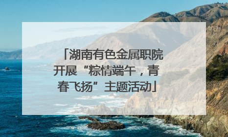 湖南有色金属职院开展“粽情端午，青春飞扬”主题活动