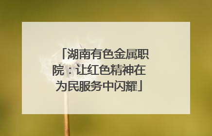 湖南有色金属职院：让红色精神在为民服务中闪耀