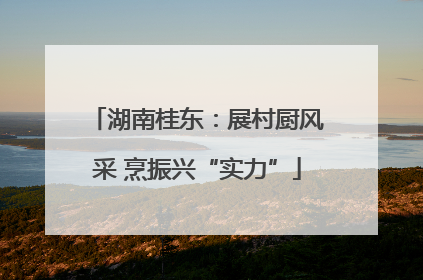湖南桂东：展村厨风采 烹振兴“实力”
