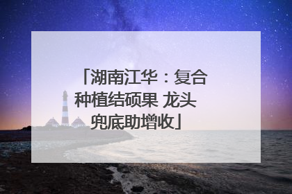 湖南江华：复合种植结硕果 龙头兜底助增收