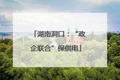 湖南洞口：“政企联合”保供电