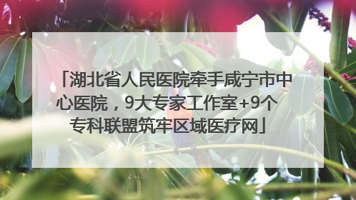 湖北省人民医院牵手咸宁市中心医院，9大专家工作室+9个专科联盟筑牢区域医疗网