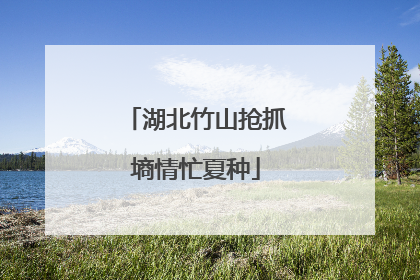 湖北竹山抢抓墒情忙夏种