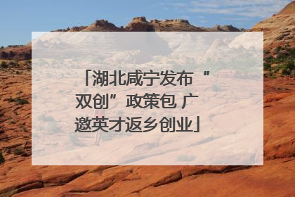 湖北咸宁发布“双创”政策包 广邀英才返乡创业