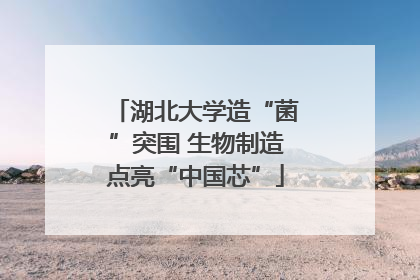 湖北大学造“菌”突围 生物制造点亮“中国芯”