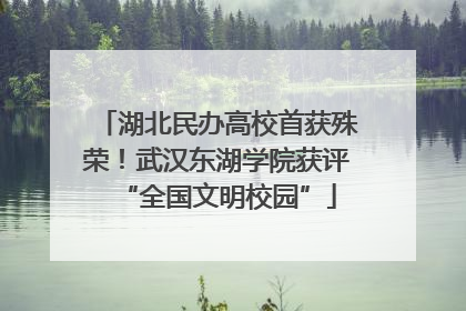 湖北民办高校首获殊荣！武汉东湖学院获评“全国文明校园”