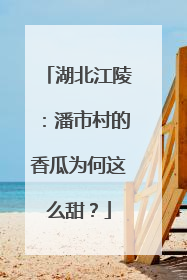 湖北江陵：潘市村的香瓜为何这么甜？