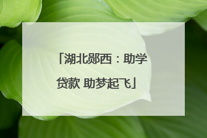 湖北郧西：助学贷款 助梦起飞