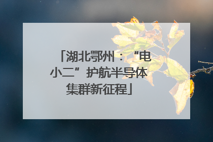 湖北鄂州：“电小二”护航半导体集群新征程