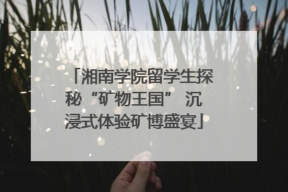 湘南学院留学生探秘“矿物王国” 沉浸式体验矿博盛宴