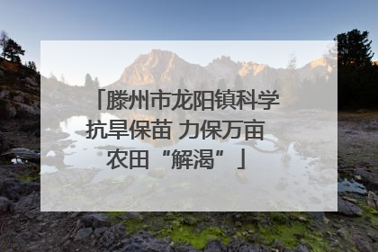 滕州市龙阳镇科学抗旱保苗 力保万亩农田“解渴”