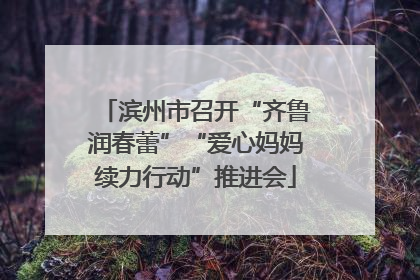 滨州市召开“齐鲁润春蕾”“爱心妈妈续力行动”推进会