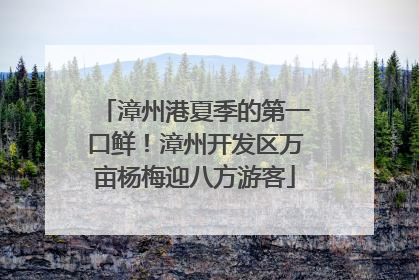 漳州港夏季的第一口鲜！漳州开发区万亩杨梅迎八方游客