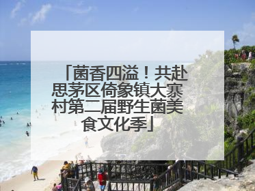 菌香四溢！共赴思茅区倚象镇大寨村第二届野生菌美食文化季