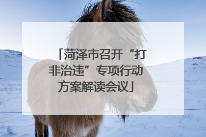 菏泽市召开“打非治违”专项行动方案解读会议