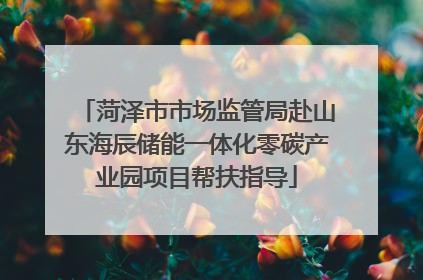 菏泽市市场监管局赴山东海辰储能一体化零碳产业园项目帮扶指导