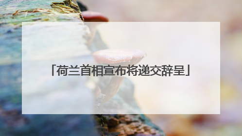 荷兰首相宣布将递交辞呈