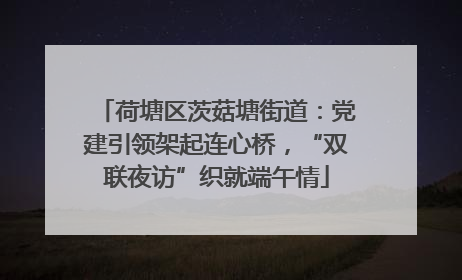 荷塘区茨菇塘街道：党建引领架起连心桥，“双联夜访”织就端午情