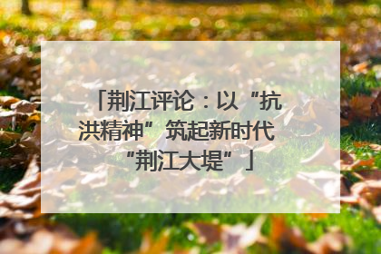 荆江评论：以“抗洪精神”筑起新时代“荆江大堤”