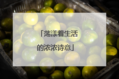 荡漾着生活的浓浓诗意