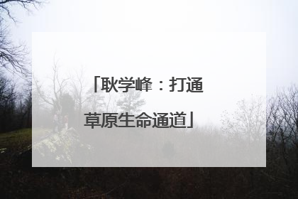 耿学峰：打通草原生命通道
