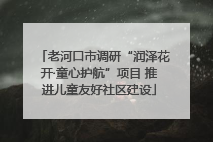 老河口市调研“润泽花开·童心护航”项目 推进儿童友好社区建设
