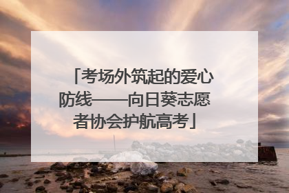 考场外筑起的爱心防线——向日葵志愿者协会护航高考
