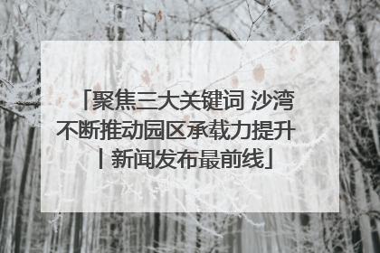 聚焦三大关键词 沙湾不断推动园区承载力提升丨新闻发布最前线