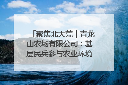 聚焦北大荒｜青龙山农场有限公司：基层民兵参与农业环境综合治理显效