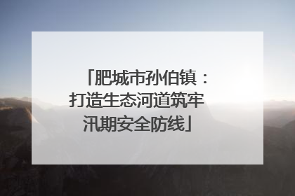 肥城市孙伯镇：打造生态河道筑牢汛期安全防线