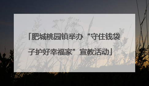 肥城桃园镇举办“守住钱袋子护好幸福家”宣教活动