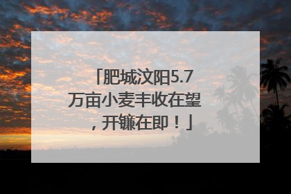 肥城汶阳5.7万亩小麦丰收在望，开镰在即！
