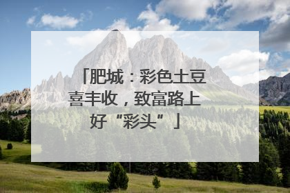 肥城：彩色土豆喜丰收，致富路上好“彩头”