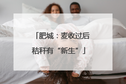 肥城：麦收过后秸秆有“新生”