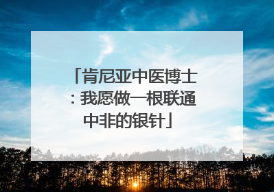 肯尼亚中医博士：我愿做一根联通中非的银针