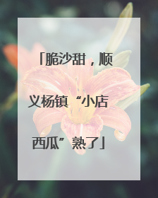 脆沙甜，顺义杨镇“小店西瓜”熟了