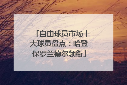 自由球员市场十大球员盘点：哈登保罗兰德尔领衔