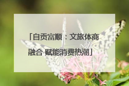 自贡富顺：文旅体商融合 赋能消费热潮