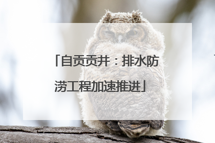 自贡贡井:排水防涝工程加速推进